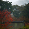 入秋の三井寺 2