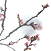 春冬同居