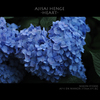 AJISAI  HENGE   -HEART-