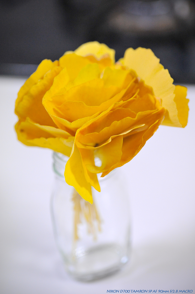 FLOWER GIFT FOR YOU 2