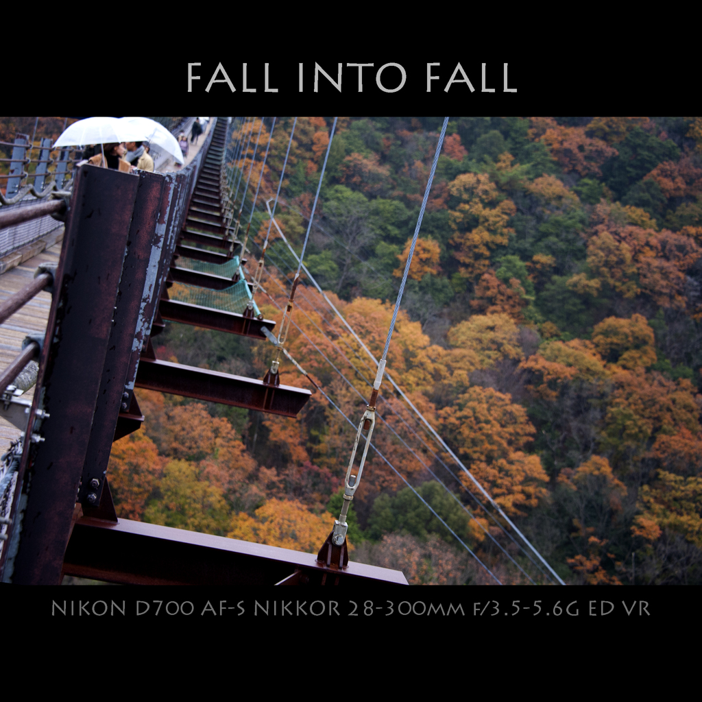 FALL INTO FALL