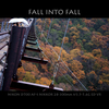 FALL INTO FALL