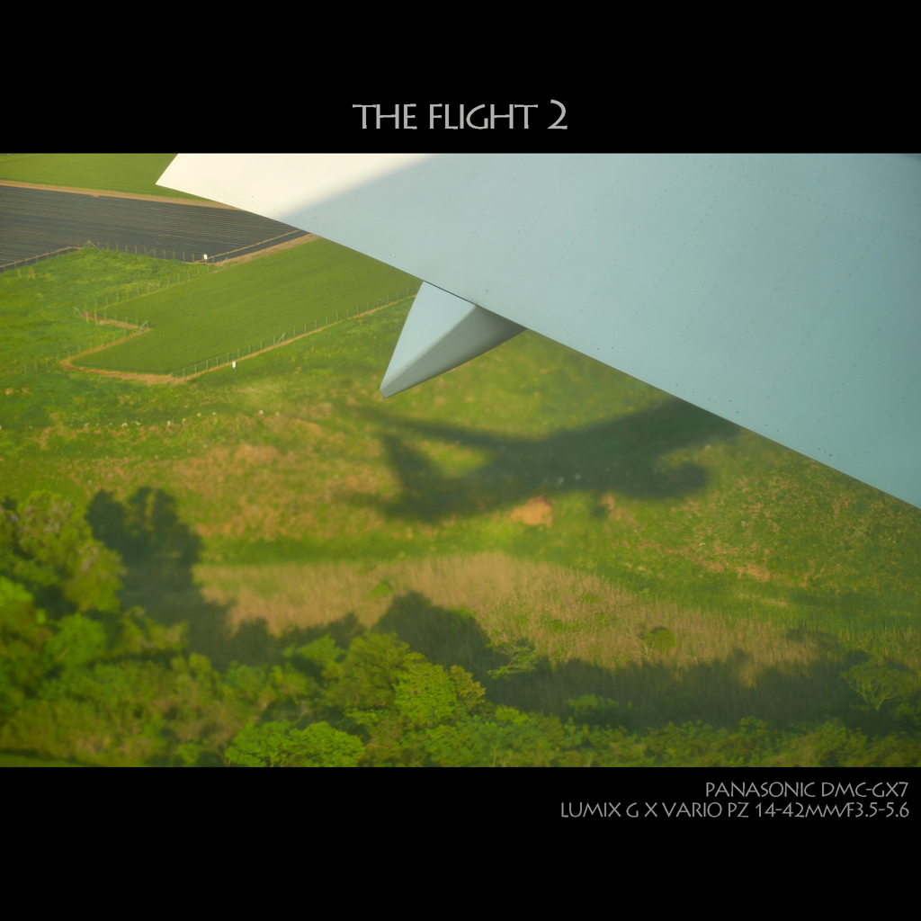THE FLIGHT 2