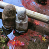 苔生すまで