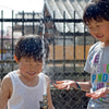 夏の先取り