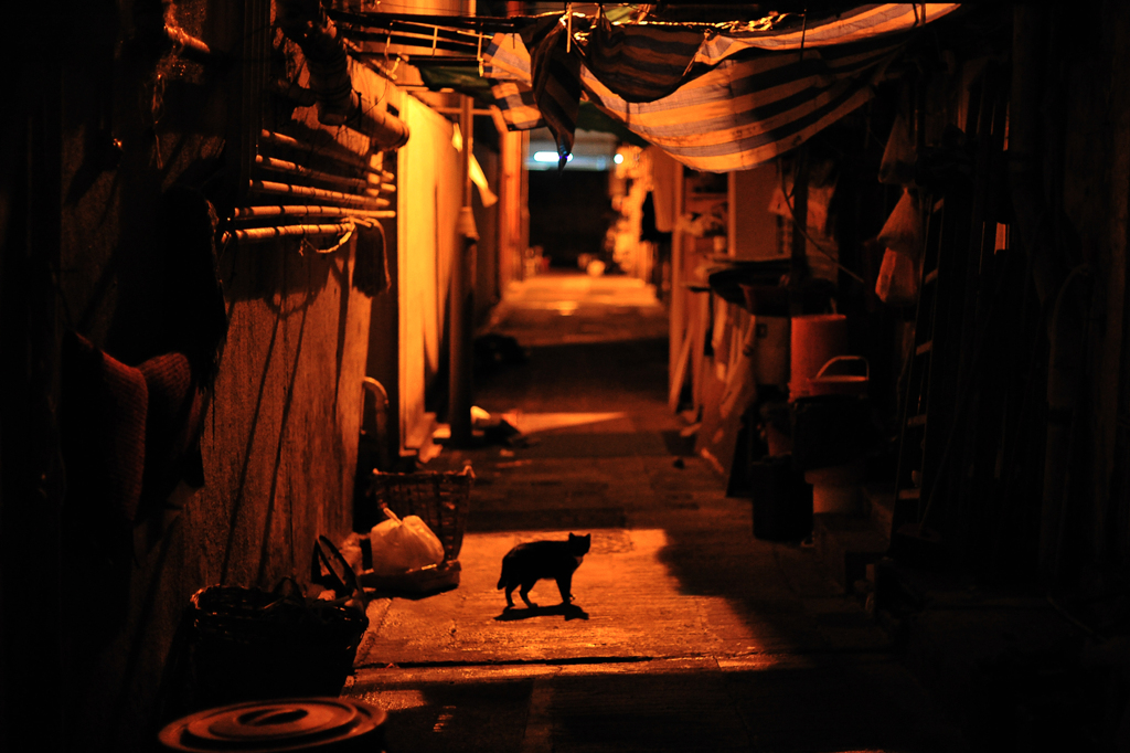 Back Street Hong Kong 2