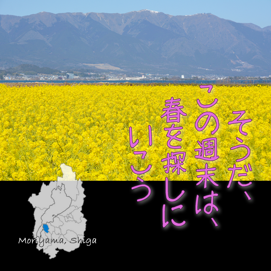 週末春旅