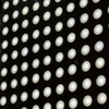 Sexual Building