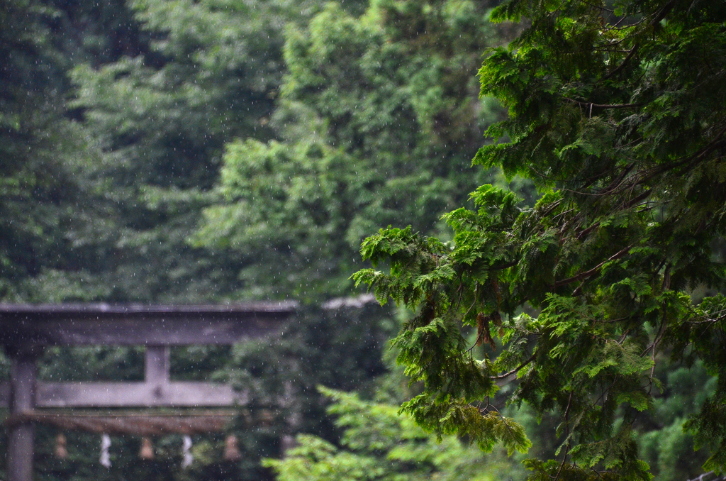 平泉寺白山神社、雨景