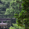 平泉寺白山神社、雨景