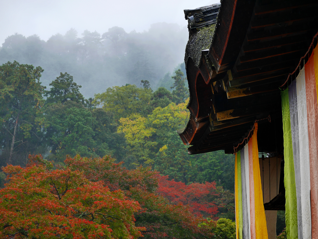 入秋の三井寺