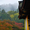 入秋の三井寺