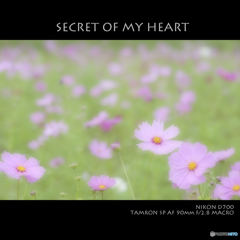 SECRET OF MY HEART