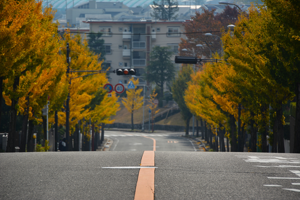 秋の道