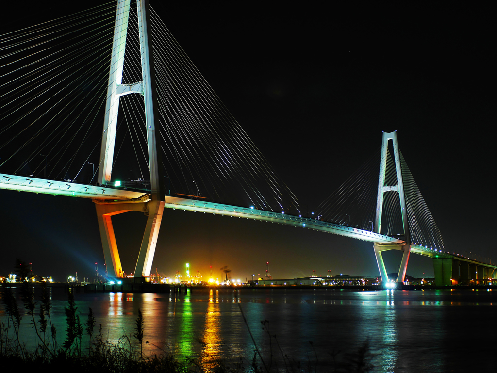 Triton Night View