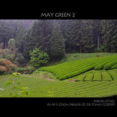 MAY GREEN 2