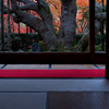 額縁の紅葉