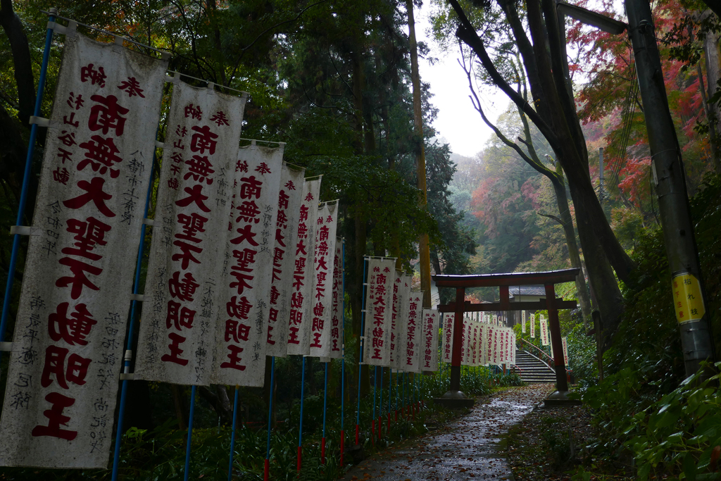 雨参道