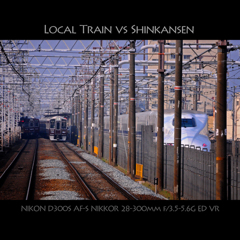 Local Train vs Shinkansen