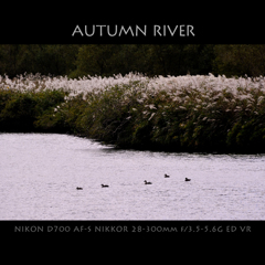 AUTUMN RIVER