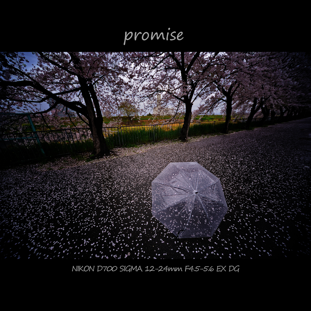 promise