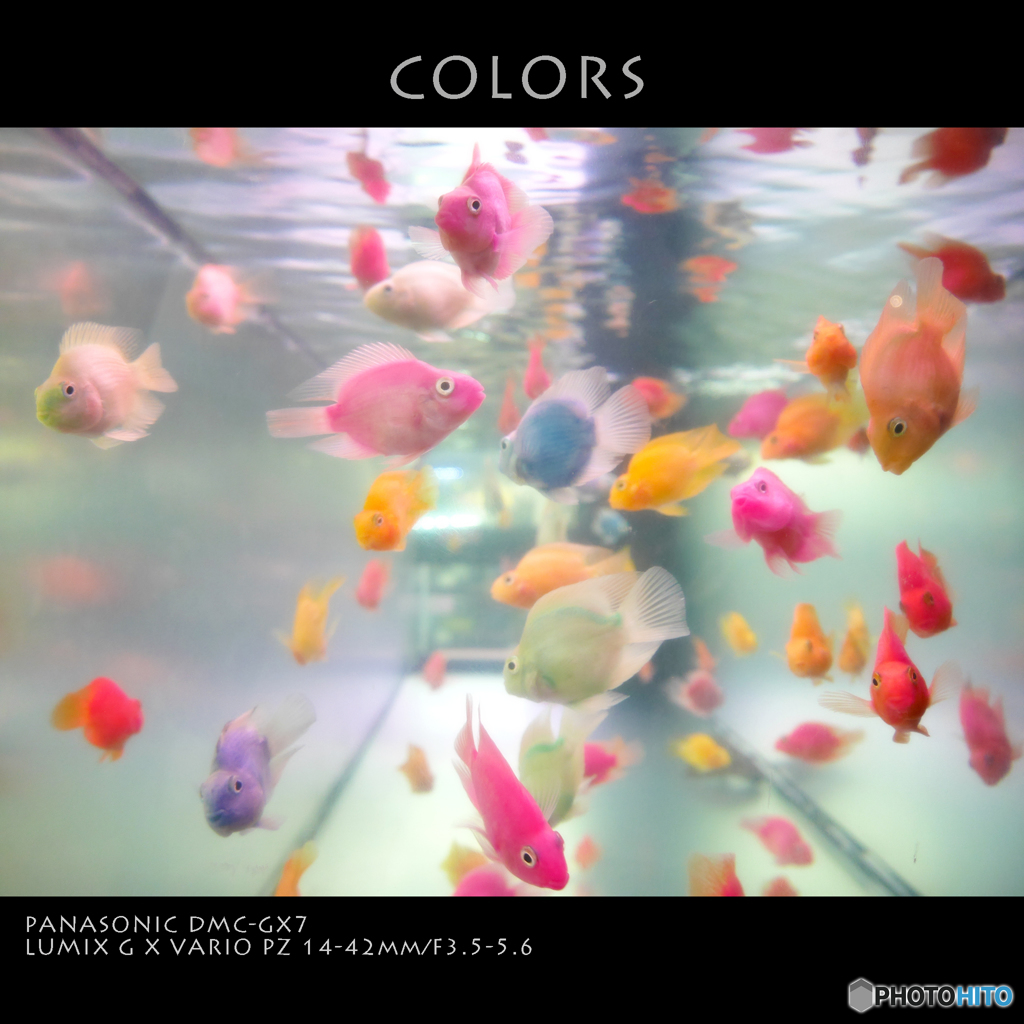 COLORS
