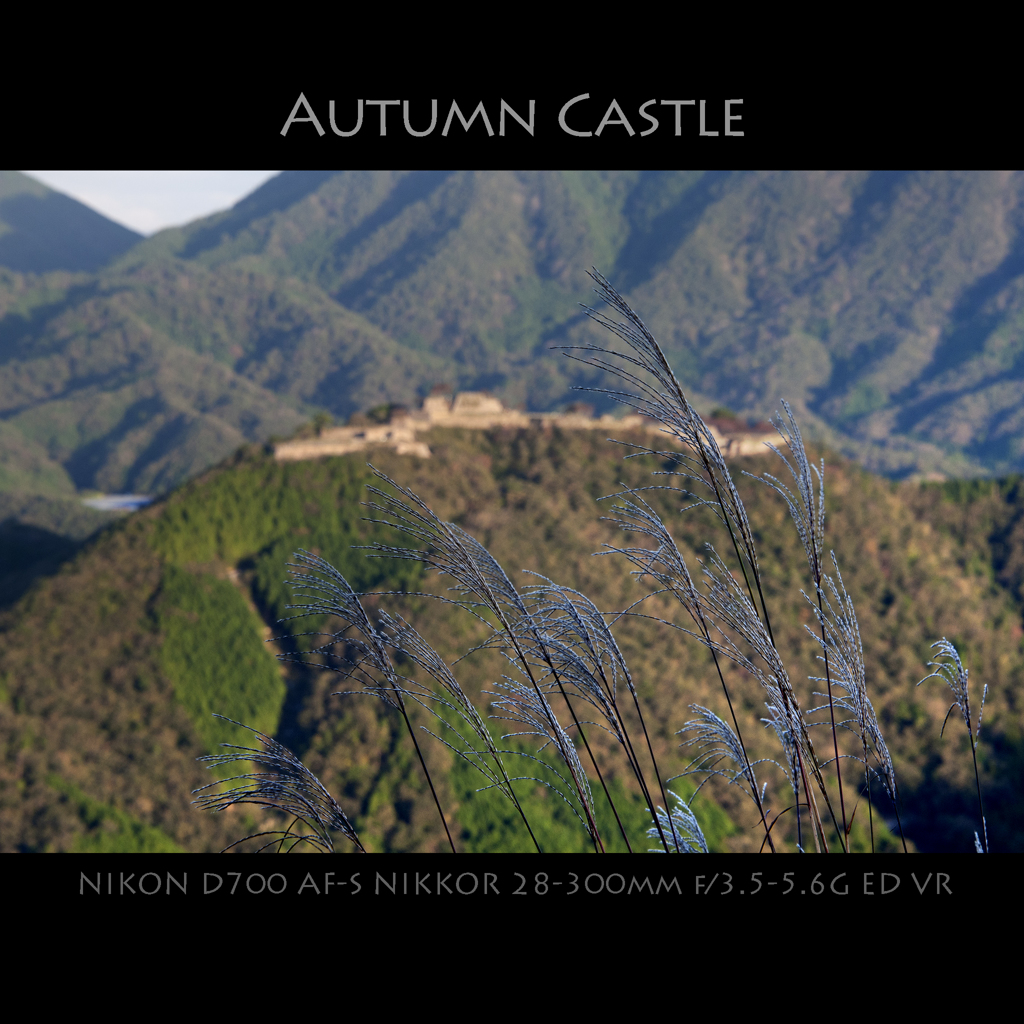 Autumn Castle