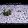 End of SAKURA / 2