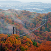 彩り山