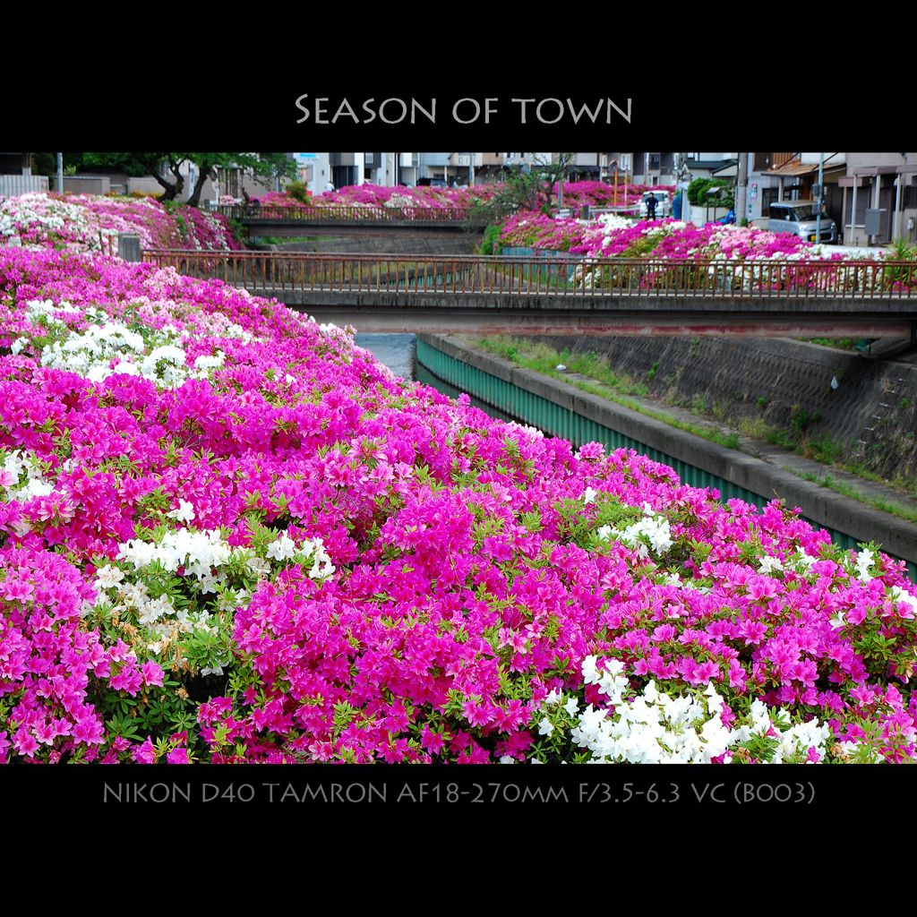 Season of Town