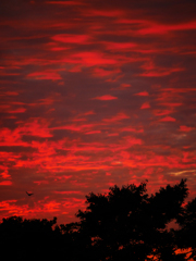 我が団地の夕景