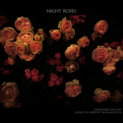 NIGHT ROSES