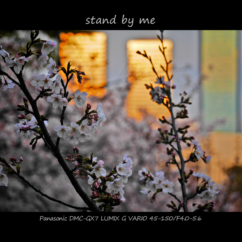 stand by me