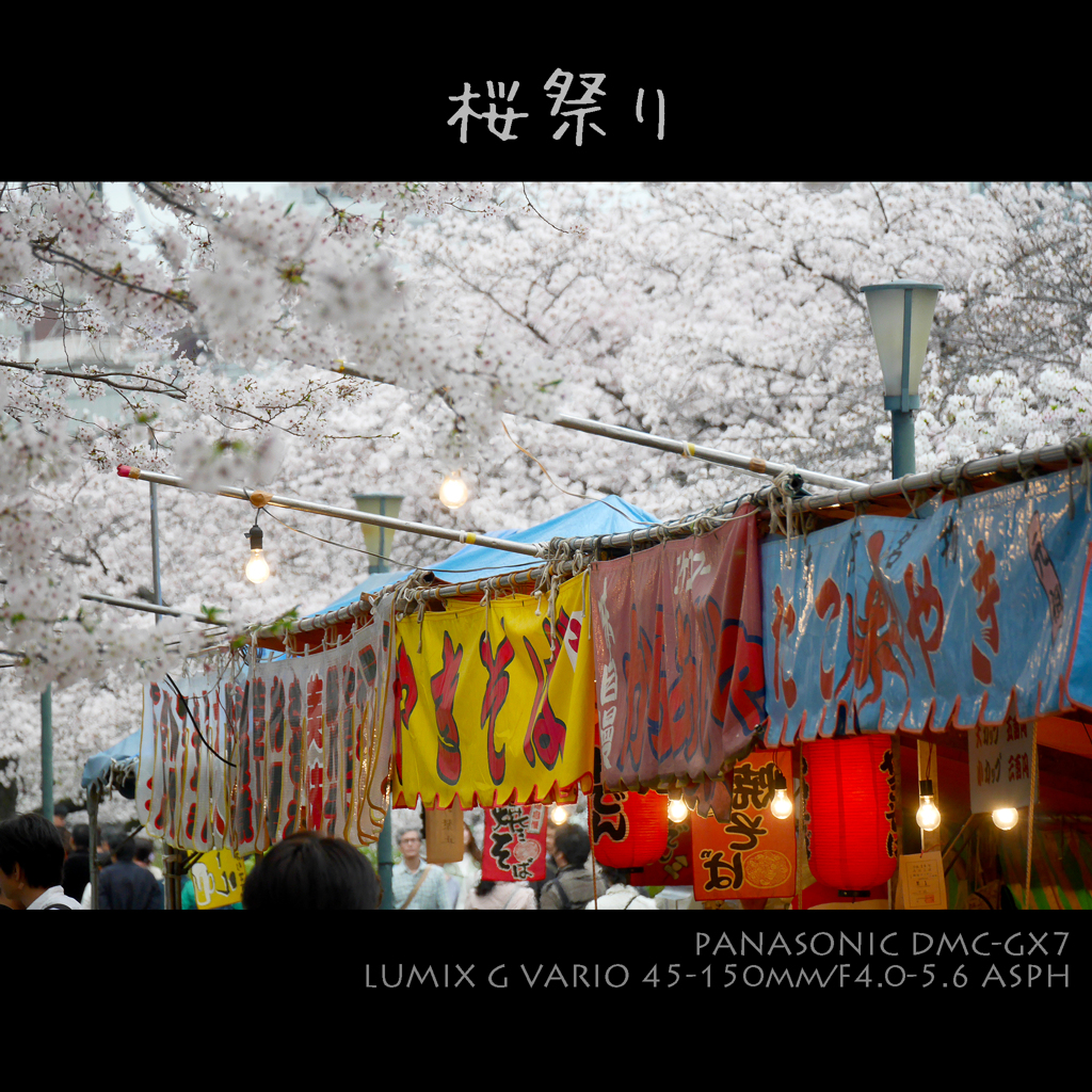 桜祭り
