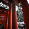 雪の紅道
