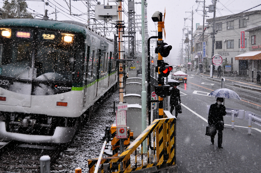 雪にも負けず