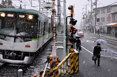 雪にも負けず