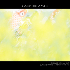 CARP DREAMER