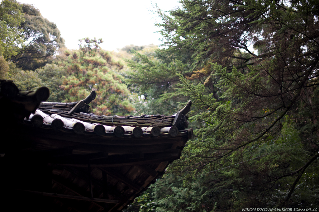 山寺の初秋