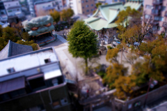 Dioramic Namba Yasaka Shrine