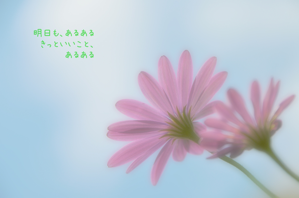 明日／TOMORROW