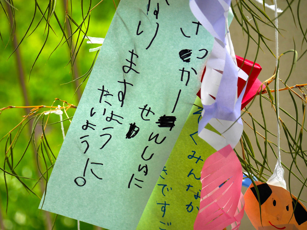 笹に願いを