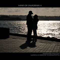 WIND OF CALIFORNIA 4