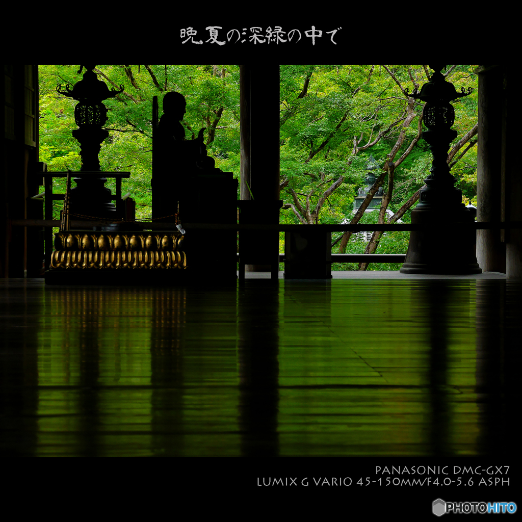 晩夏の深緑の中で