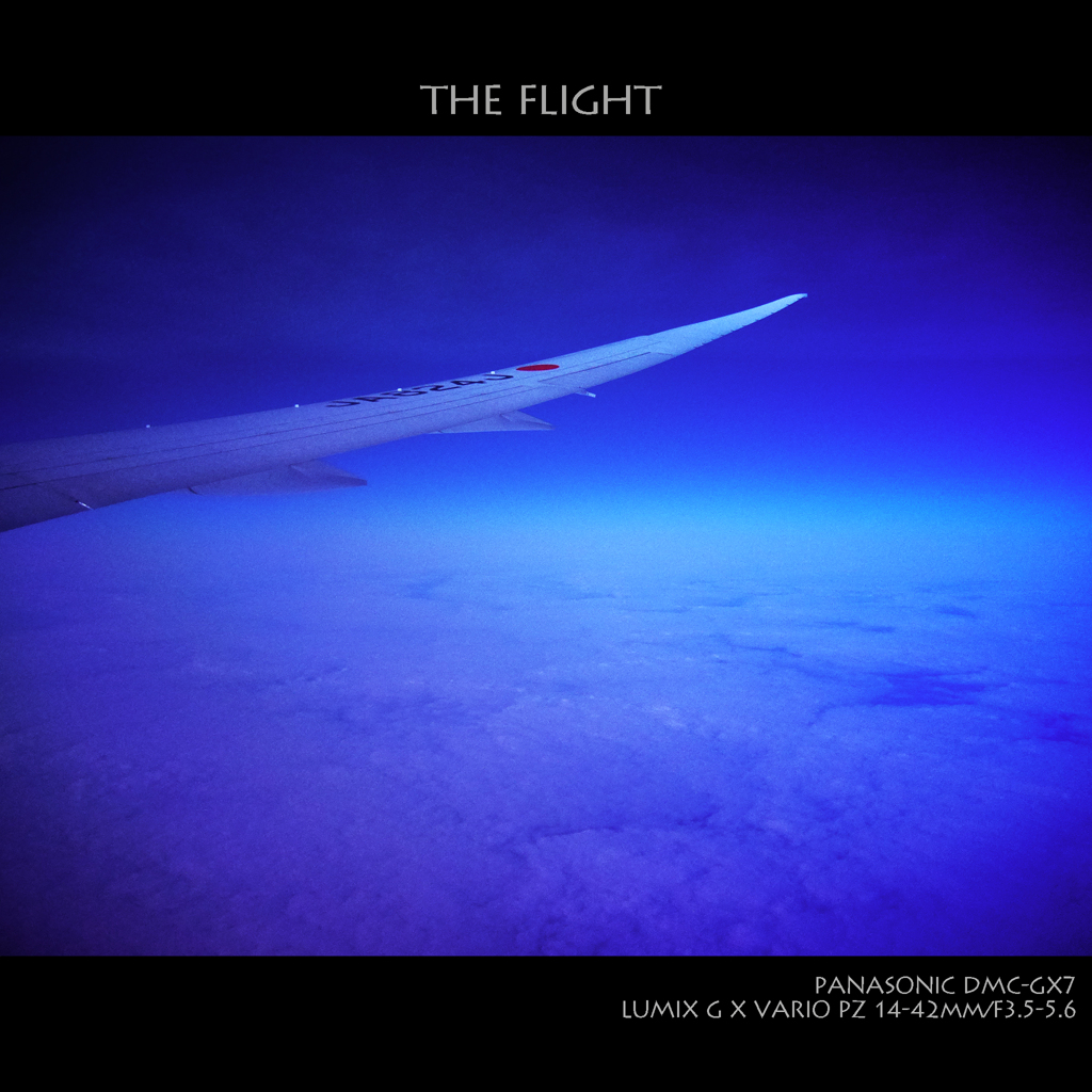 THE FLIGHT