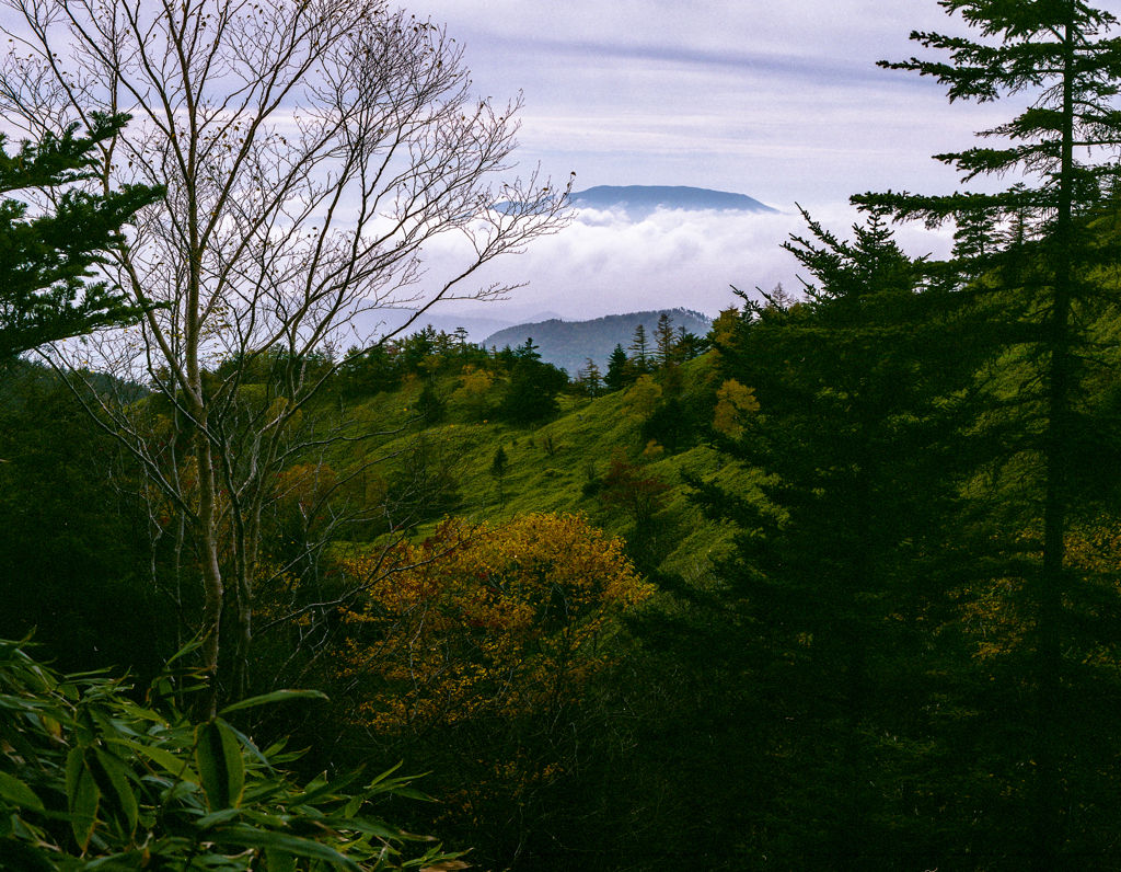 摺古木山で #4