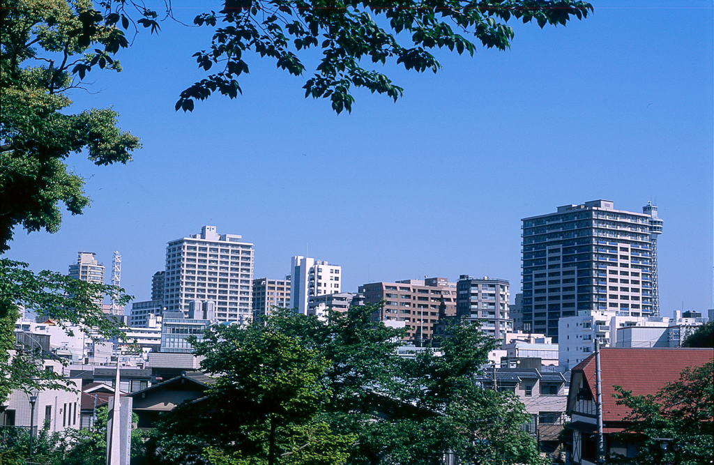 sky blue yokohama