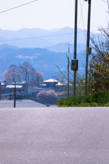 坂の向こうは春満開