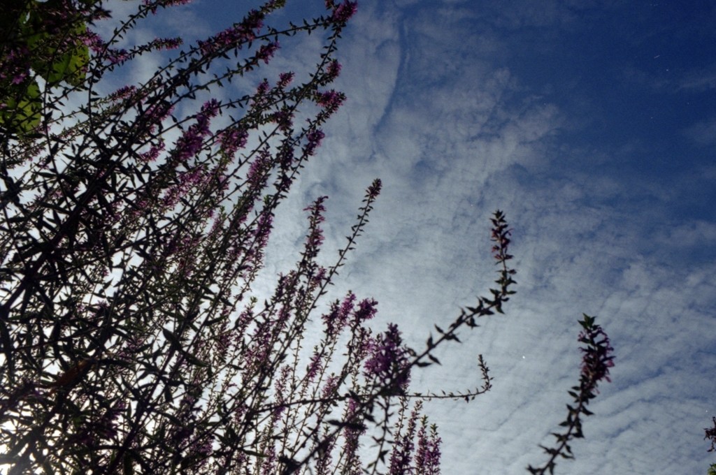 秋空