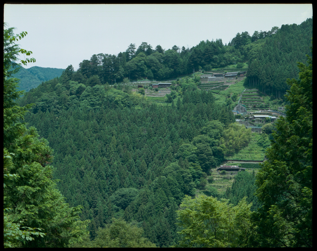 山に住む 67ver.